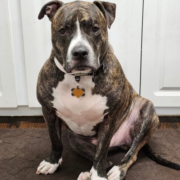 Meet your Posher, Mary (& Family) of Original Angel Jewelry - Picture 11 of 11